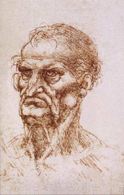 LEONARDO da Vinci Study of an old man France oil painting art